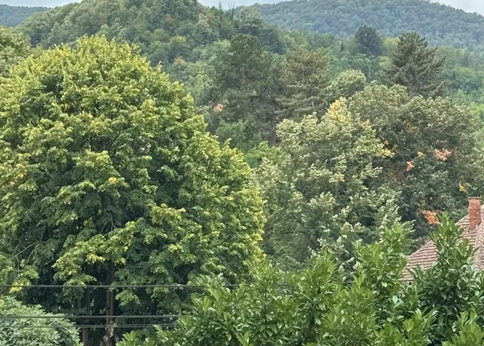 Primavera Apartament